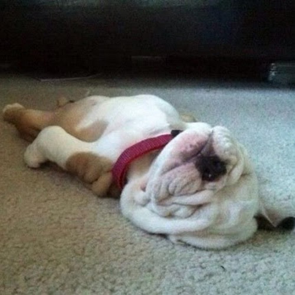 Meet your Posher, Minniemama